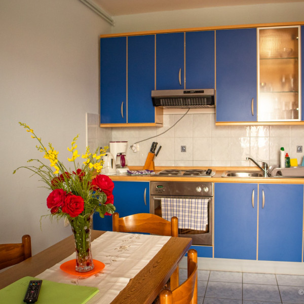 Kitchen, Guesthouse Marija, Guesthouse Marija with heated pool near Paradise Beach, Lopar, Island Rab, Croatia Lopar