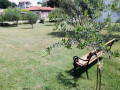 Aussenbereich, Guesthouse Marija mit beheiztem Pool in der Nähe des Paradiesstrandes, Lopar, Insel Rab, Kroatien Lopar